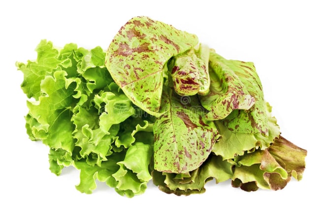 romaine lettuce with spotty ends to avoid when selecting
